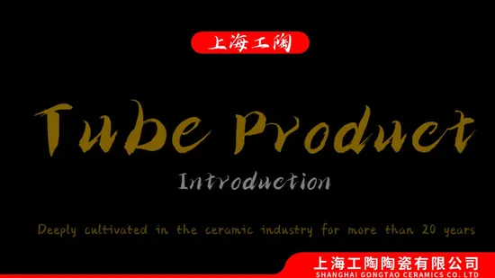 T5 T6 T651 T7351 Insulation Resistance High Precision 99% 99.5% 99.8% White Thread Aluminum Oxide Zirconia Zro2 Al2O3 Alumina Shaft Ceramic Polishing Rod