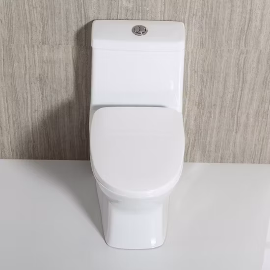 Washdown Bathroom Bowl Dual